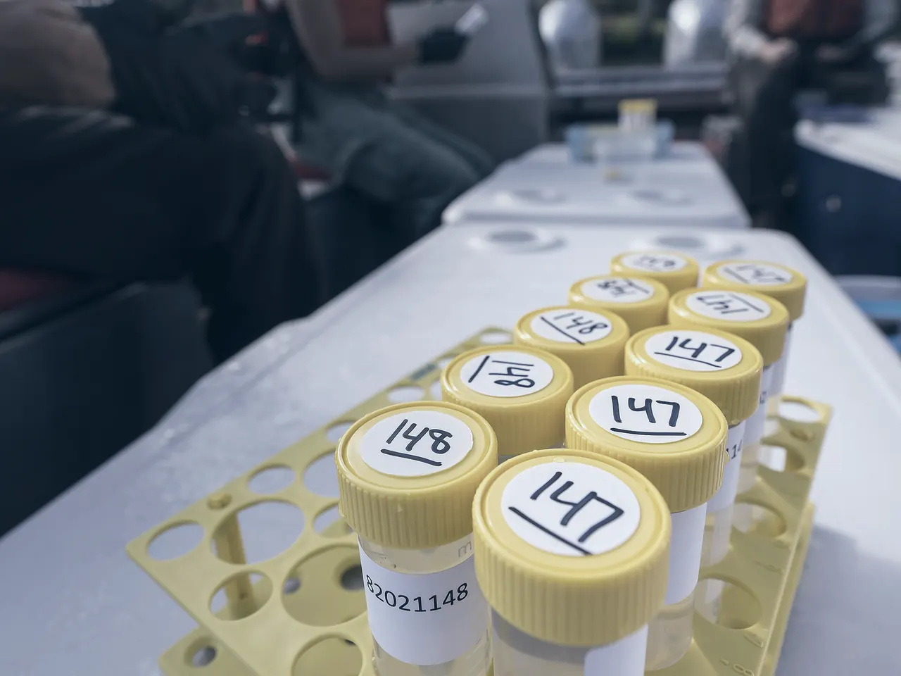 Numbered sample tubes from a field collection standing in a rack